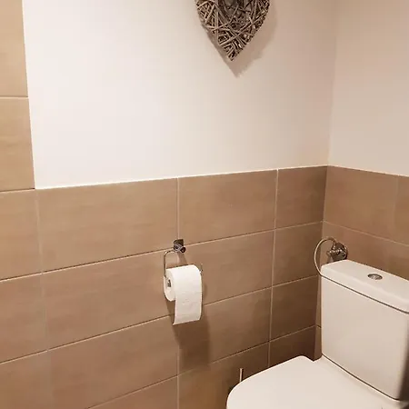 Appartement cosy et agréable avec terrasse privée Horbourg Exterior foto
