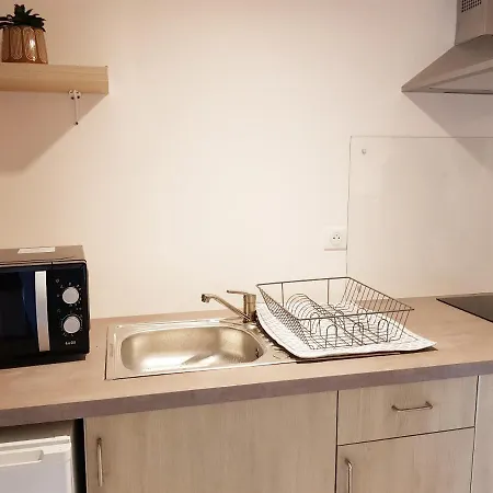 Appartement cosy et agréable avec terrasse privée Horbourg Exterior foto